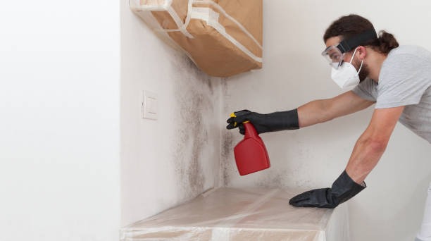 Professional Crawl Space Mold Removal technician working in Bayport, MN